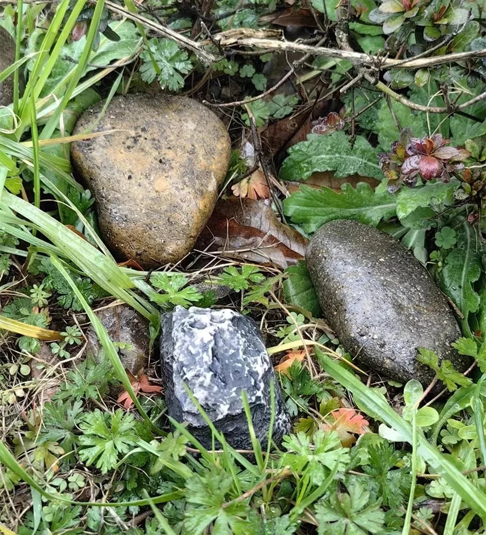 Hidden Rock Key Hider